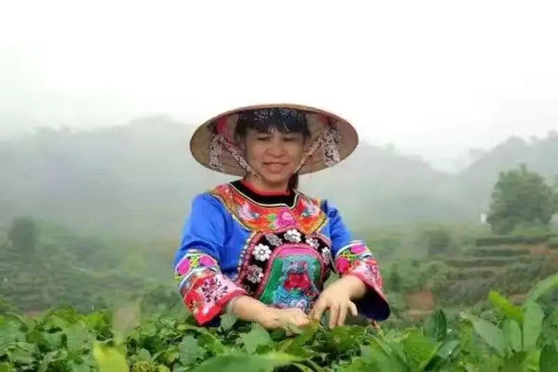 【梧州工匠】劉錦芳：鉆研和創(chuàng)新，帶領(lǐng)鄉(xiāng)親發(fā)家致富