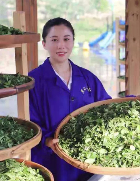 【梧州工匠】石濡菲：擇一茶，修一技，終一生