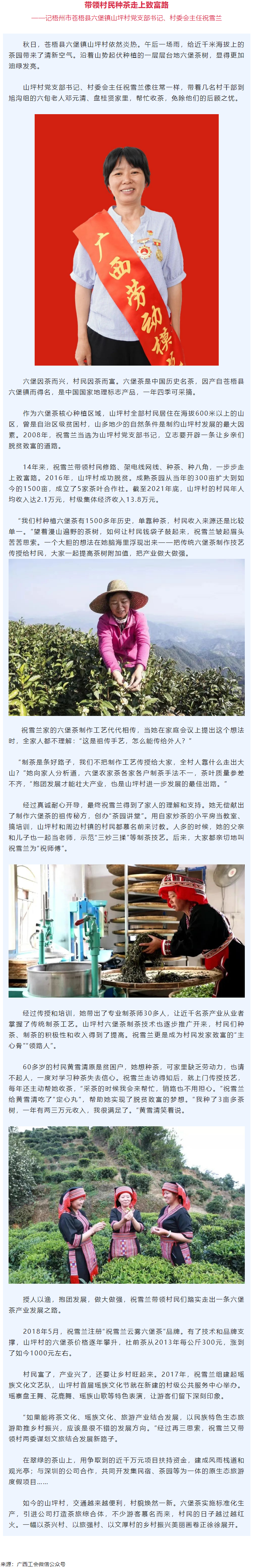 二十大代表風采丨祝雪蘭：帶領(lǐng)村民種茶走上致富路.png