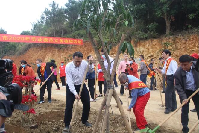 植樹造林，這群楷模這樣做