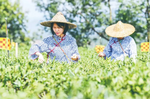 國家批復同意，梧州籌建！