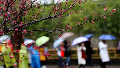 今日雨水！別忘了咱的老講究！