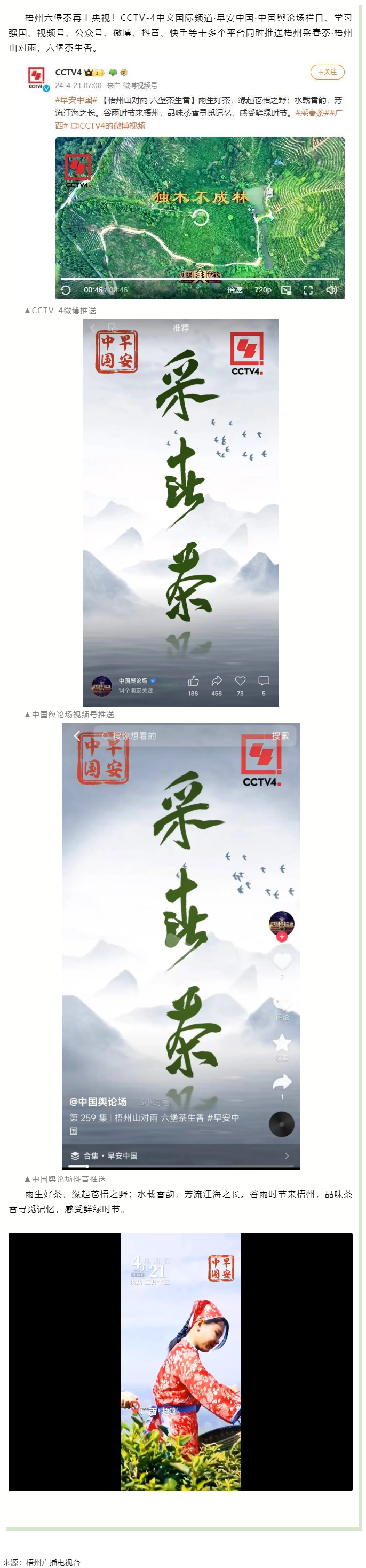 央視、學(xué)習(xí)強國等十多個平臺同時推送梧州采春茶·梧州六堡茶.png
