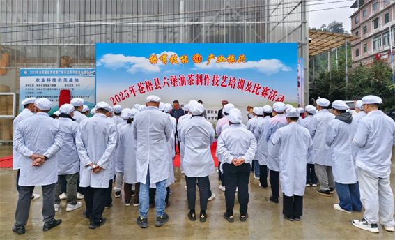 2025年蒼梧縣六堡油茶制作技藝培訓及比賽活動圓滿落幕！