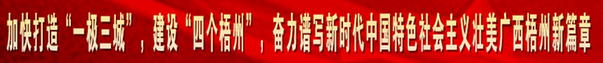 加快打造“一級(jí)三城市”，建設(shè)“四個(gè)梧州”，奮力譜寫(xiě)新時(shí)代中國(guó)特色社會(huì)主義壯美廣西梧州新篇章